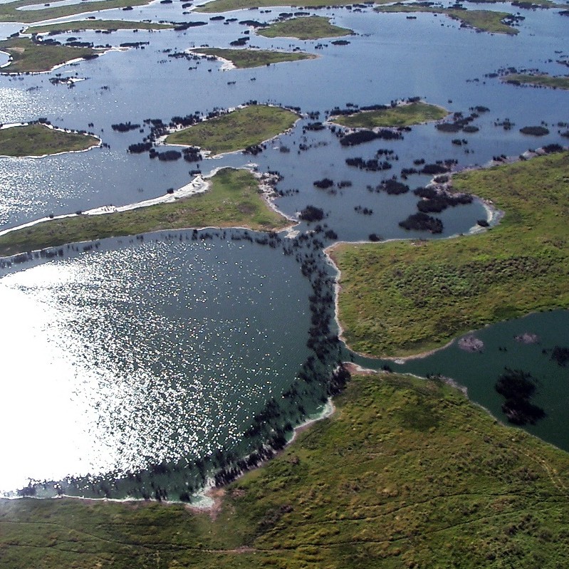 	Mato Grosso do Sul	
